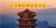亚洲人假鸡巴视频