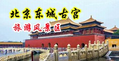 文明操美女B中国北京-东城古宫旅游风景区